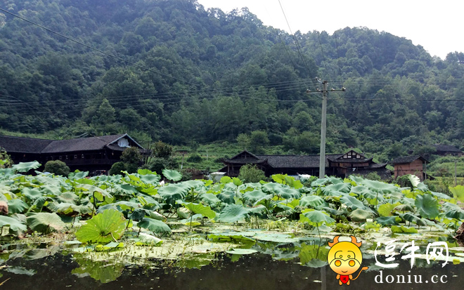 石堰坪